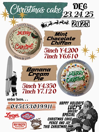 Lucy's Christmas Cake